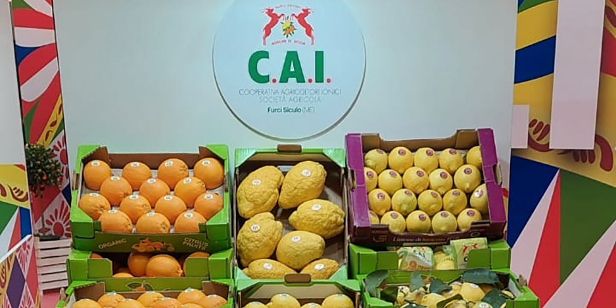 Cai scalda i motori per Fruit Logistica e Biofach